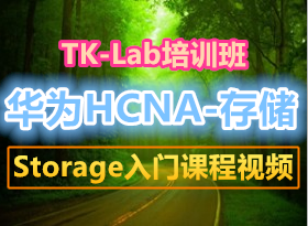 TK-Labѵ ΪHCNA-storageſγƵ 洢ѧϰ 8