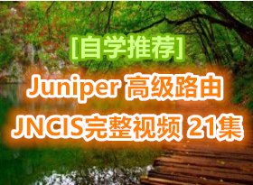 [ѧƼ]ĳjuniperѵJNCISƵ̳ ߼·ЭVPNǽӦõ 21