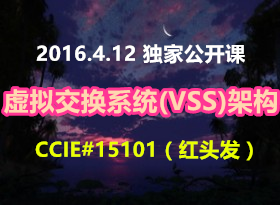 ���ҹ����� CCIE#15101����ͷ����Cisco Catalyst���⽻��ϵͳ��VSS���ܹ� 