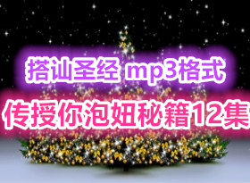 搭讪圣经 12集 mp3 传授你泡妞秘籍