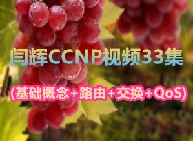 []ƻCCNPѧƵ33 (+·++QoS)