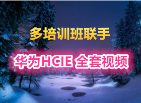 ����ѵ������ ��ΪHCIE-R&S ȫ����Ƶ�̳�44��(9����ʦ������� ÿ��ֻ�����ó���)