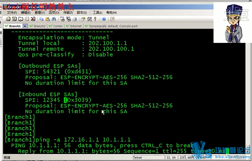 ʵ鴿̽ ΪIPsec VPNר⽲Ƶ 8(ҵð)