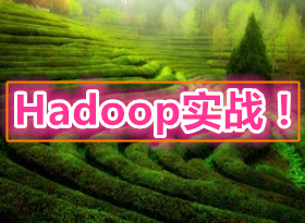 HadoopӦ�ÿ���ʵս���� ��ʵս���������Ƶ�Ͷ��ˣ�15�� 64�� ���ݷ�����̬Ȧ