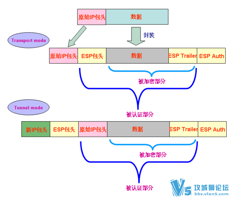 800+ҳ �ֹ��ܽ�� ����CCIE ʵ��̳�VPN������