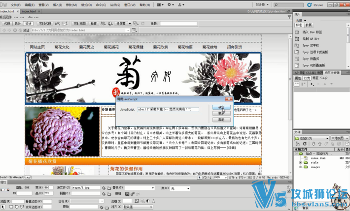 html��ҳ������Ƶ�̳����� Dreamweaver CS5 ��ҳ��������뾭�䷶��