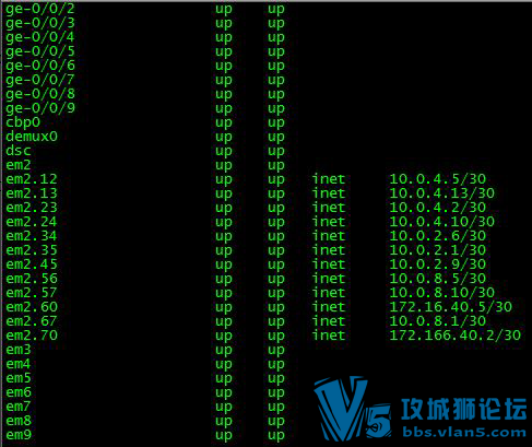 juniper�����õ�vmx ģ����ôû��em1 �ӿ�ѽ������˭��������