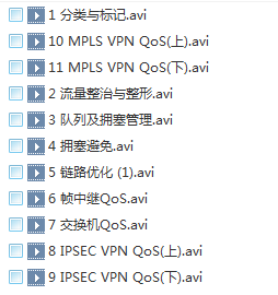 车斌 QOS 培训视频