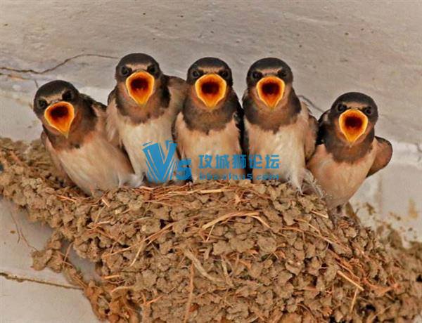 ڿ͸ֶԾй棺һҲ