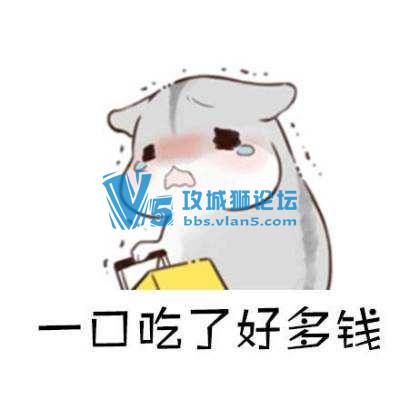 ����CCNP��CCIE֤�鶼�˴���˻��б�Ҫ����