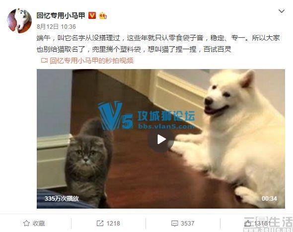好好反省一下 你为什么会被天猫盯上