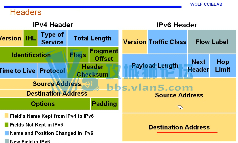 IPV6Ƶ wolf ؿ+ IPV6·ЭƵ̳ ӪѧϰƵ