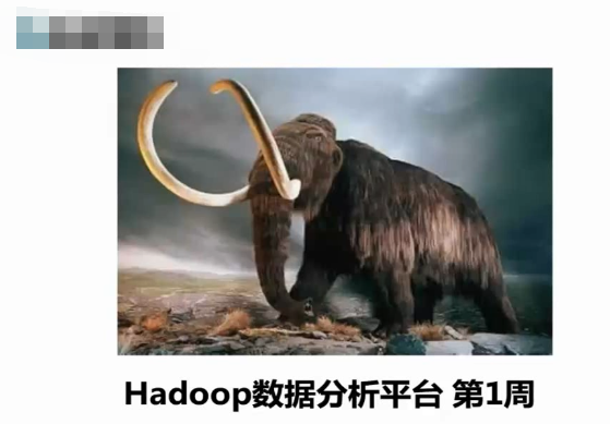 Hadoop İƵγѧϰƵ+HadoopȨָ 