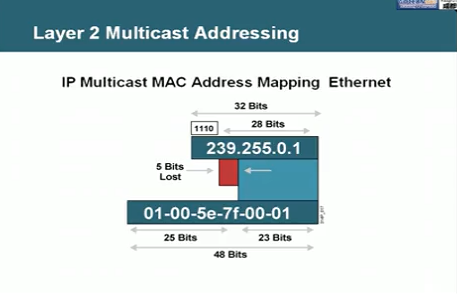 ��ͷ�� CCNP��ϸ��Ƶ���� ·����Ƶ�̳�