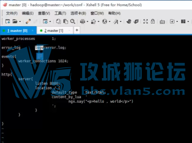 ��ҵ��hadoop��Ŀʵս��Ƶ�̳� OpenRestyʵս���� ���� ��װ ʵս