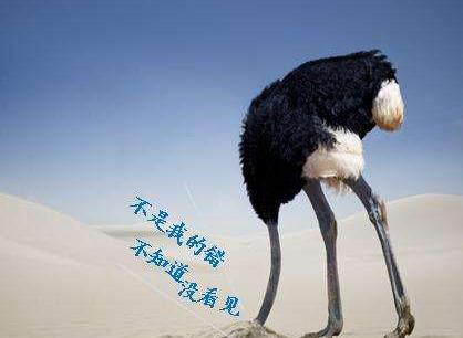 й©5000ûϢ Facebookɲٿѡ