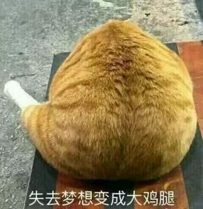 㲻㿼CCIE𣿰Ůʵ