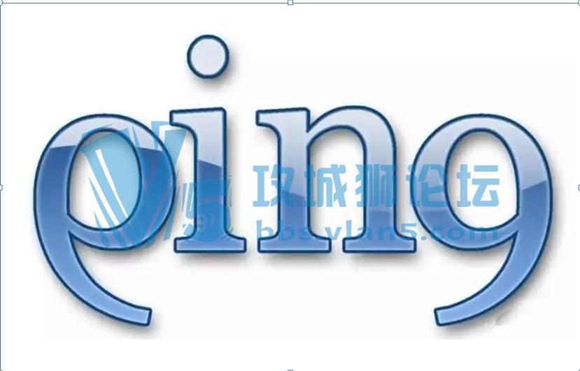 ͬʱPing 1000IPַ
