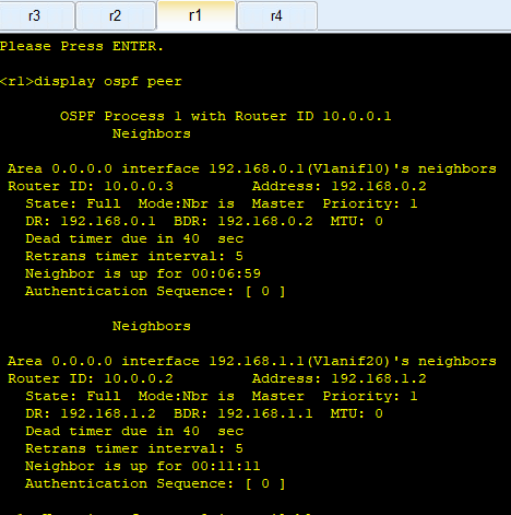 ospfָ