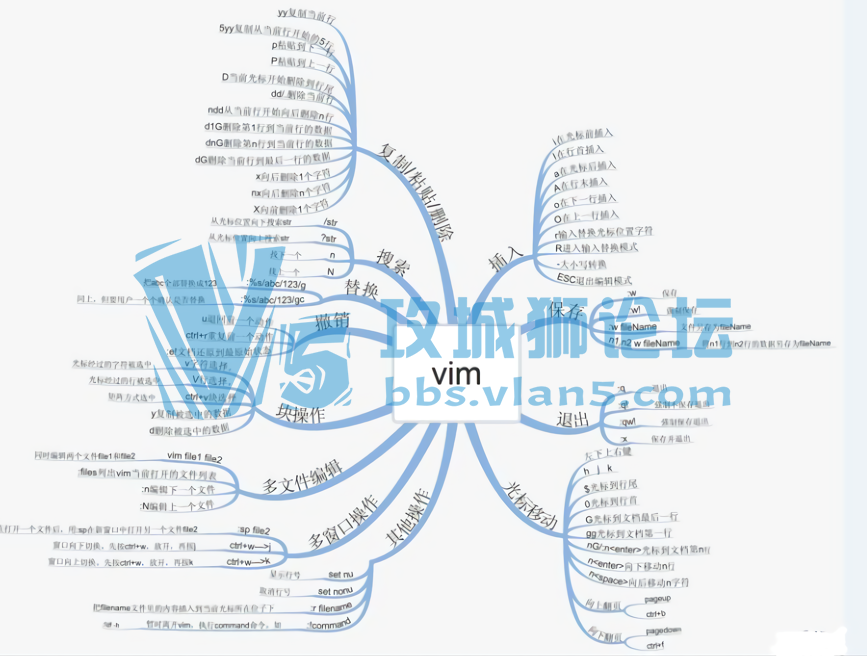vim༭
