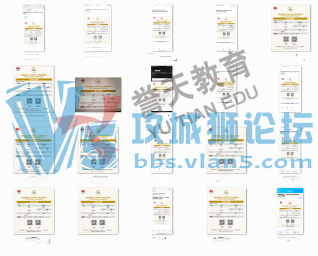 ףؽ20λѧԱPASS HCIE-RS LAB֤