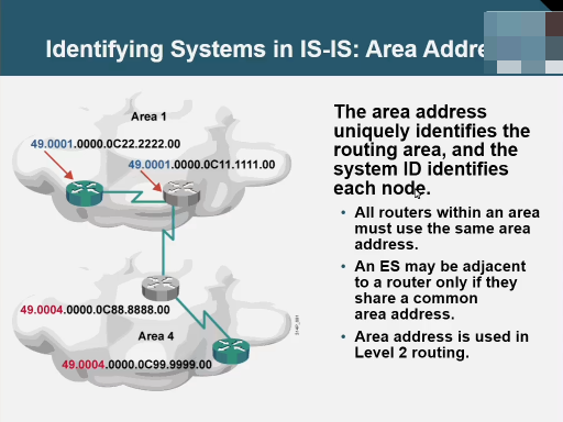 CCIE SPѵӪѵƵ---ǼܰƵ OptionƵ  ·Ƶ