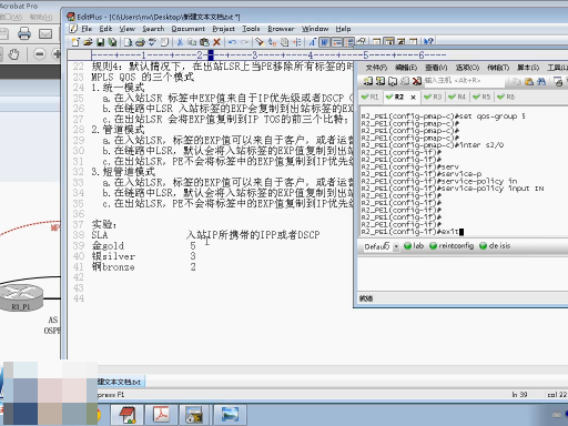 CCIE SPѵӪѵƵ---ǼܰƵ OptionƵ  ·Ƶ