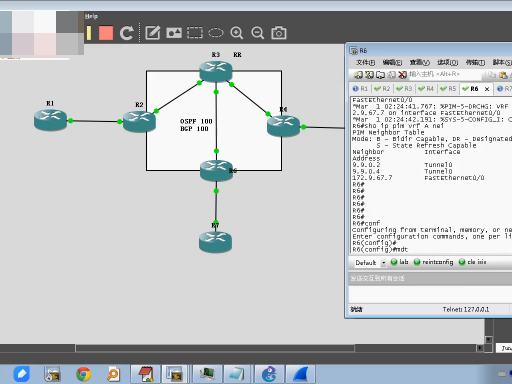 CCIE SPѵӪѵƵ---ǼܰƵ OptionƵ  ·Ƶ