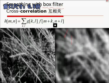 ӾγƵ ͼƵ 仯Ӿ ǨƵ
