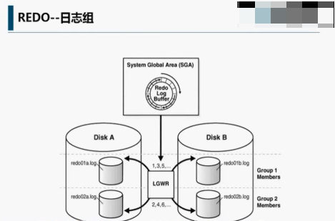 캽OracleƵ OracleİװƵ OracleݿƵ 洢̺ͺƵ 