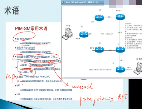 CCIE鲥ƵƵ 鲥ַƵ IGMPƵ MSDP鲥ӦƵ 