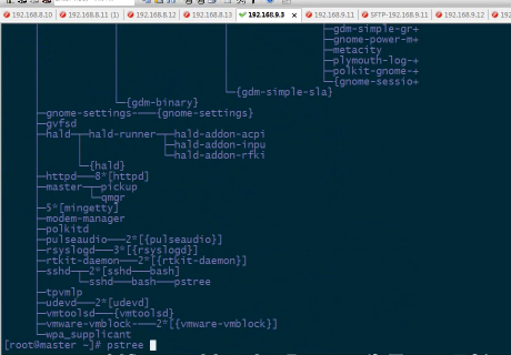 ŵʵսƪƵ Linux̹Ƶ Ȩ޸Ƶ  shellеƵ 