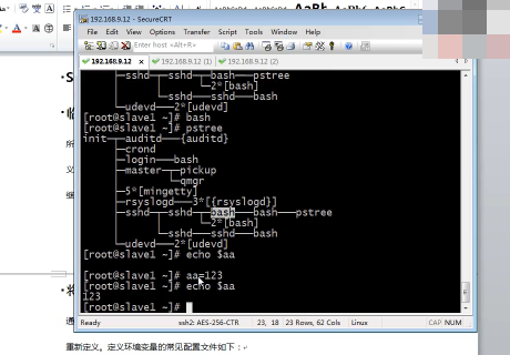 ŵʵսƪƵ Linux̹Ƶ Ȩ޸Ƶ  shellеƵ 