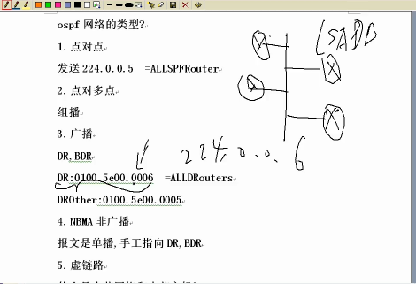 OSPF۵ʵƵ̳ OSPFƵ 