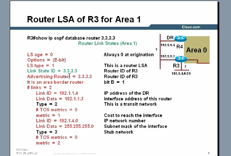 ccieOSPFƵרγ OSPF Rack DesignƵ Options Ƶ