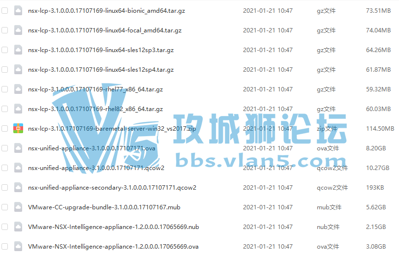 VMware NSX-T 3.1
