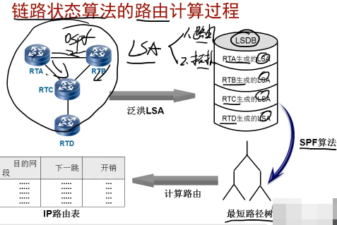 HCDP-IERN��Ƶ OSPF�����·����Ƶ OSPF���ϴ�����Ƶ BGP������������Ƶ ·��ѡ�񹤾�