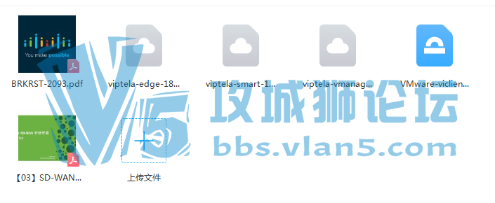 ��˼��IE��û�б������ϸ��SD-WANʵ�鲿���ֲ��ˣ������ߣ�
