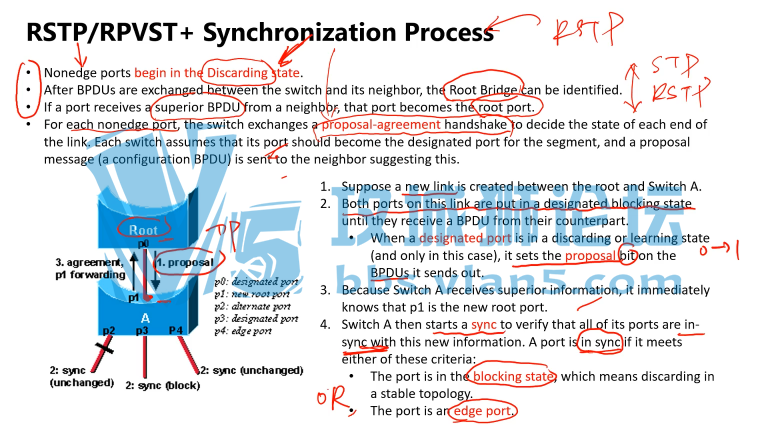 CCNA++��Ƶ�̳� ���۽��ʵ�� ���繤��ʦ���ŵĺý̳� Sean Ning