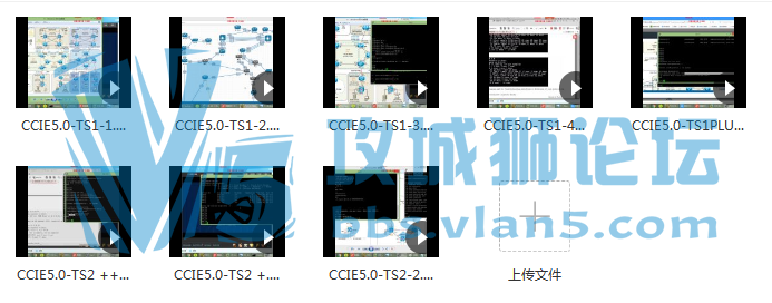 �����˽�����CCIE���Ϻϼ�-�����Ŵ�����������һ����Ƶ�͹��ˣ�����