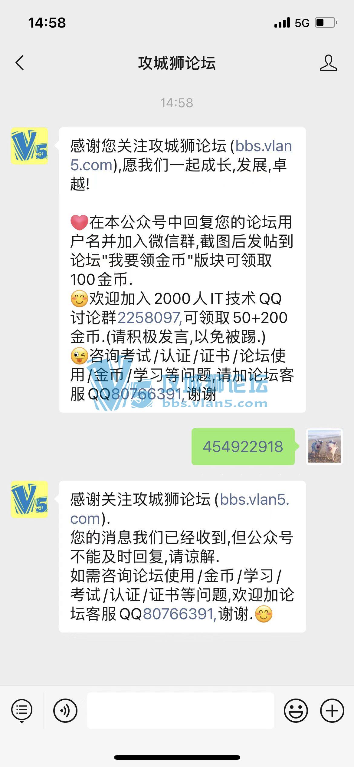 ��Ҫ����