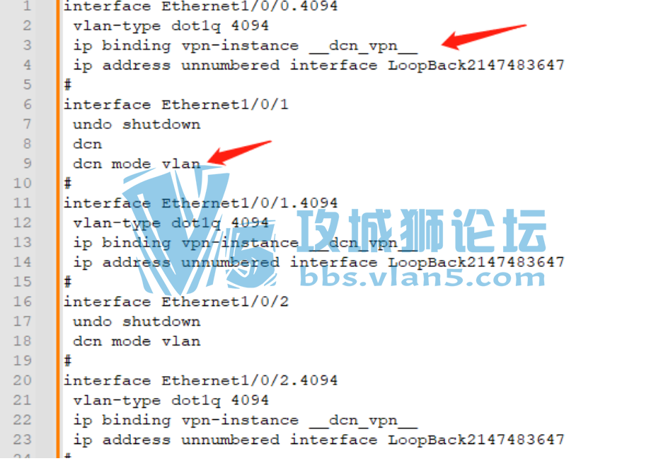 请教大佬，华为的NE路由器为啥带这些玩意儿？