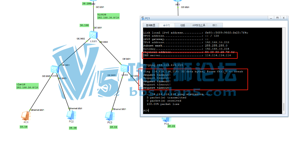 ´Ϊʲôping dns 